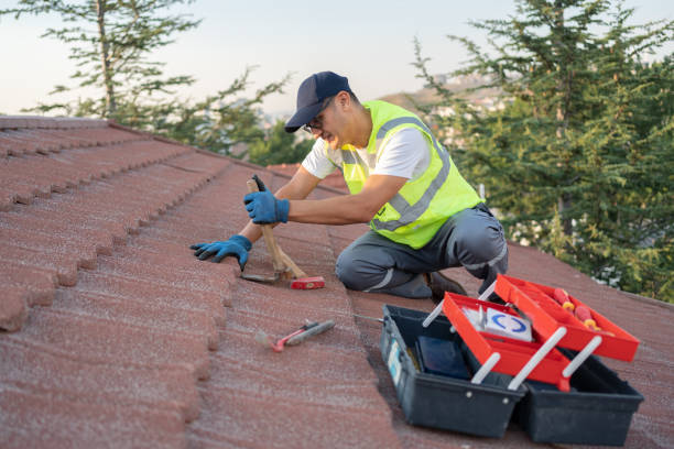 Best Emergency Roof Repair  in USA